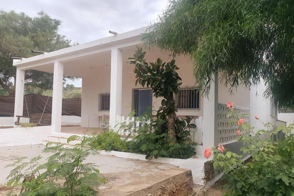 Casa Campo Con Piscina Y Barbacoa Para 6 Personas En Plena Naturaleza Picassent Exterior photo