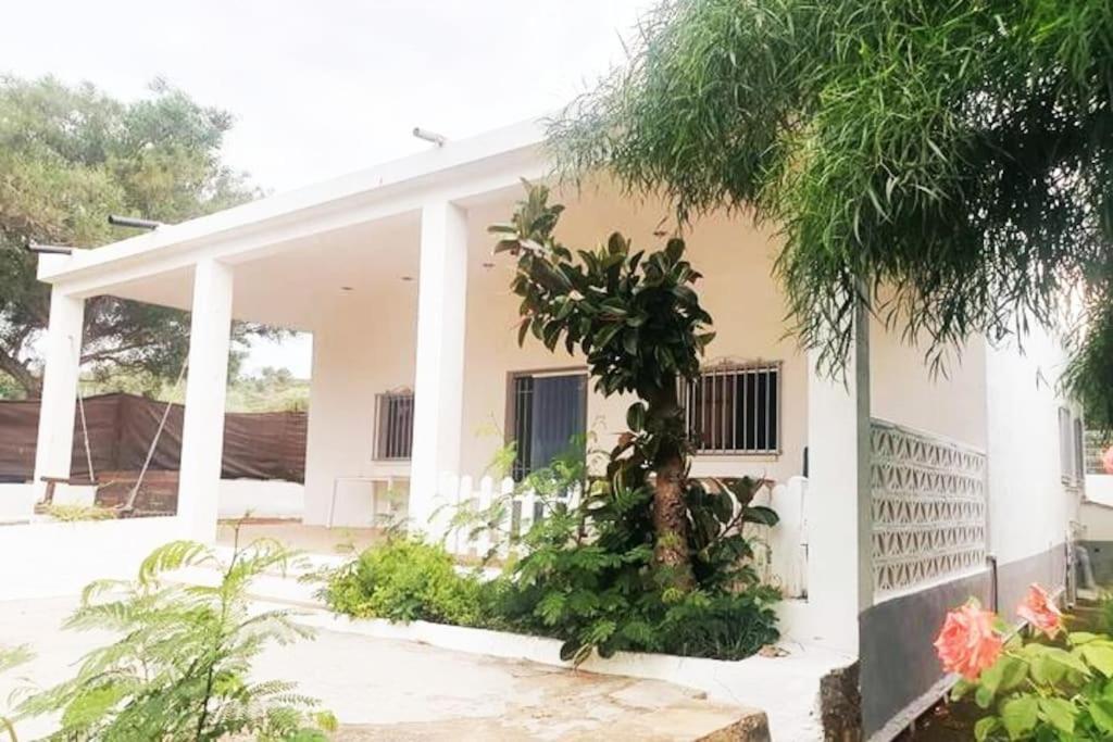 Casa Campo Con Piscina Y Barbacoa Para 6 Personas En Plena Naturaleza Picassent Exterior photo